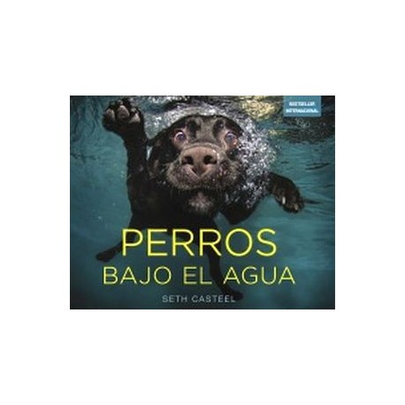 PERROS BAJO EL AGUA-librosluna- Libros de Libros para Todos