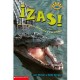 ZAS UN LIBRO SOBRE CAIMANESY COCODRILOS-librosluna- Libros de Libros para Todos