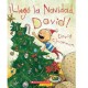 LLEGO LA NAVIDAD, DAVID!-librosluna- Libros de Libros para Todos