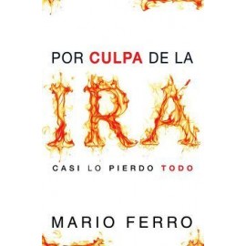 POR CULPA DE LA IRA CASI LO PIERDO TODO-librosluna- Libros de Libros para Todos