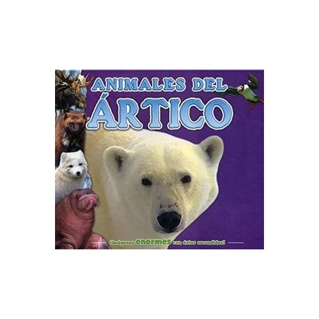 DATOS ESCONDIDOS -ANIMALES DEL ARTICO--librosluna- Libros de Libros para Todos