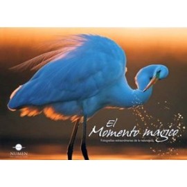 MOMENTO MAGICO, EL -FOTOGRAFIAS EXTRAORNINARIAS DE LA NATURALEZA--librosluna- Libros de Libros para Todos