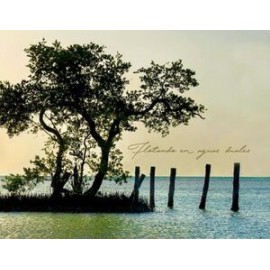FLOTANDO EN AGUAS DUALES-librosluna- Libros de Libros para Todos